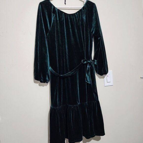 Draper James Dress For Women Size Medium Velvet Green Lined Pockets B7 - Picture 4 of 14